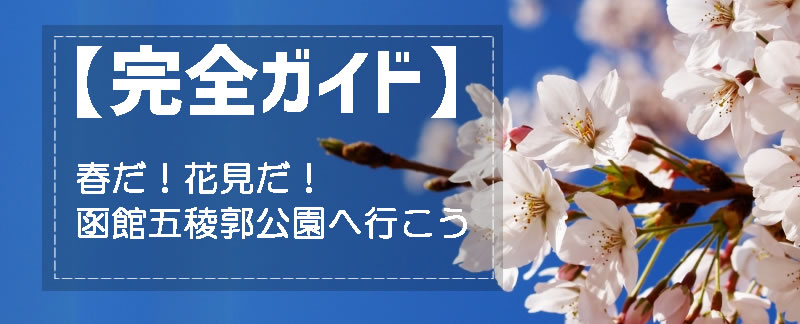函館五稜郭公園の桜見ごろ完全ガイド